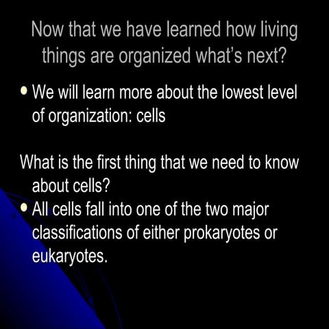 Prokaryotes Vs Eukaryotes
