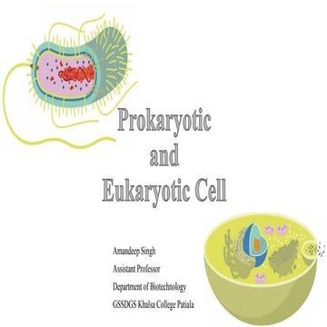 Prokaryotic and eukaryotic cell