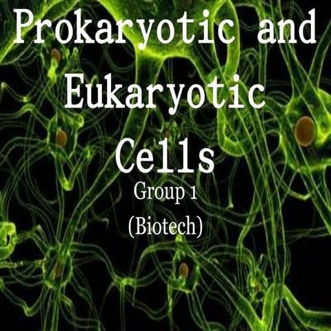 Evolution of prokaryotic and eukaryotic cells | PPTX
