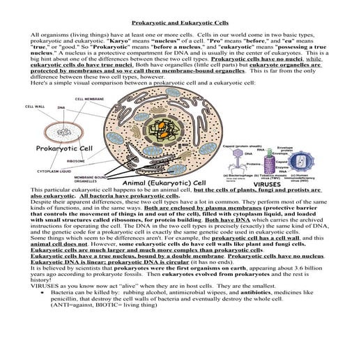 Prokaryoticandeukaryoticcells