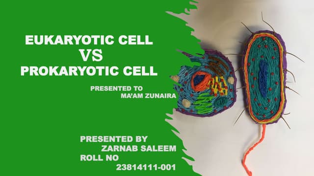 Prokaryotes and eukaryotes powerpoint | PPT