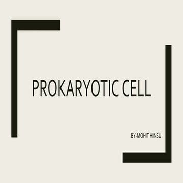 Prokaryotic cell