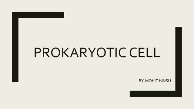 Prokaryotic cell