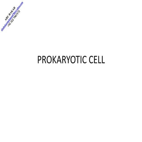 Prokaryotic cell