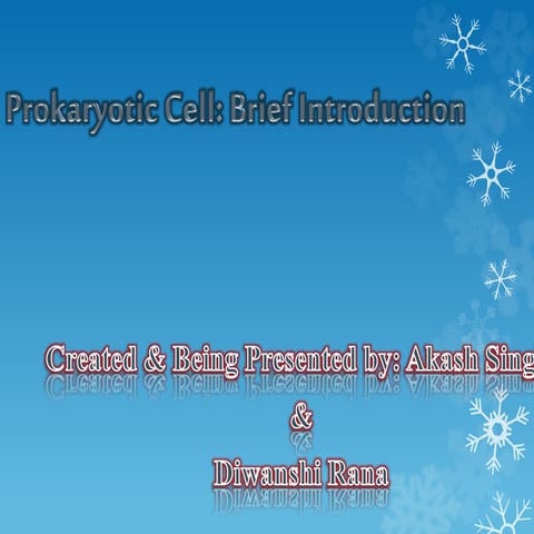 Prokaryotic Cell- Brief Intro