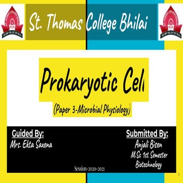 Prokaryotic cell (Anjali Bisen )