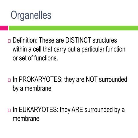 Prokaryotic cells structure
