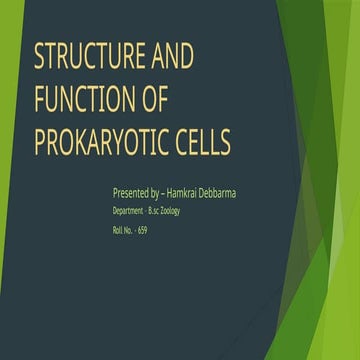 PROKARYOTIC CELLS for college zoology department