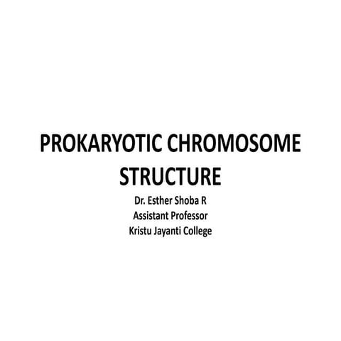 Prokaryotic chromosome structure