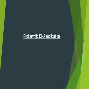 Prokaryotic DNA replication.pptx