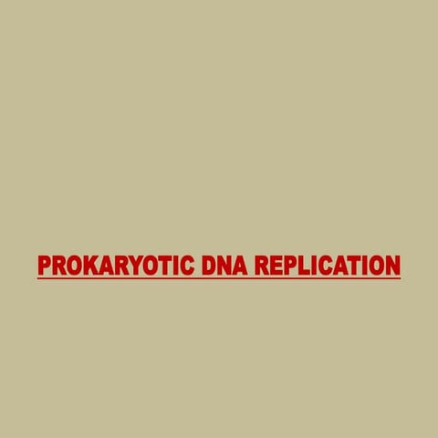PROKARYOTIC DNA REPLICATION .pptx