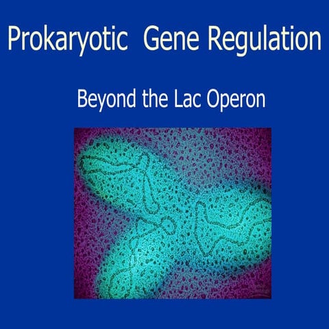 Prokaryotic Gene Regulation