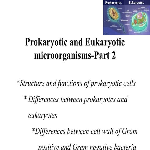 Bacterial cytology cell inclusions | PPTX