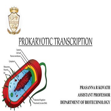 Prokaryotic transcription