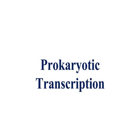 Prokaryotic Transcription Presentation.pptx