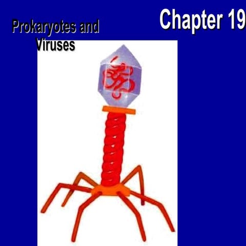 Prokaryotic viral replication.ppt about the