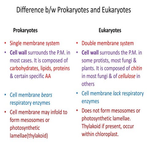 Prokaryots vs eukaryotes 