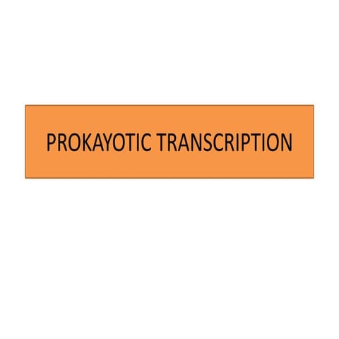 PROKAYOTIC TRANSCRIPTION.pptx