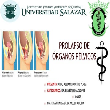 Prolapso de órganos pélvicos (POP) | PPT