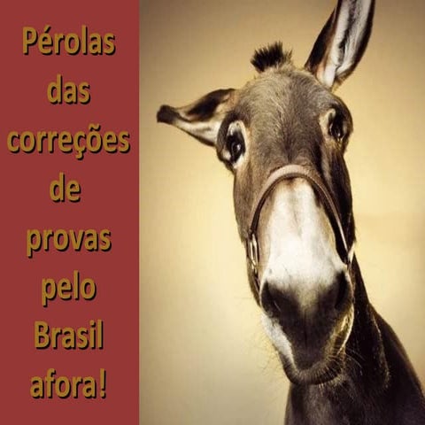 Pérolas das avaliações de conhecimento