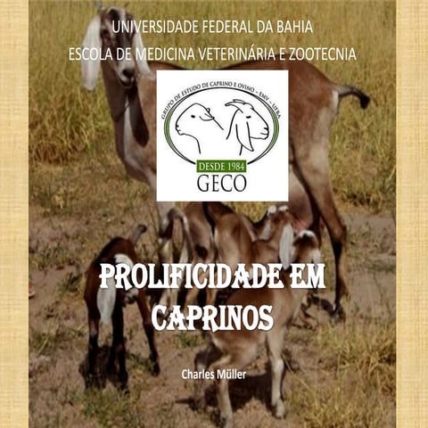 Prolificidade em caprinos charles müller