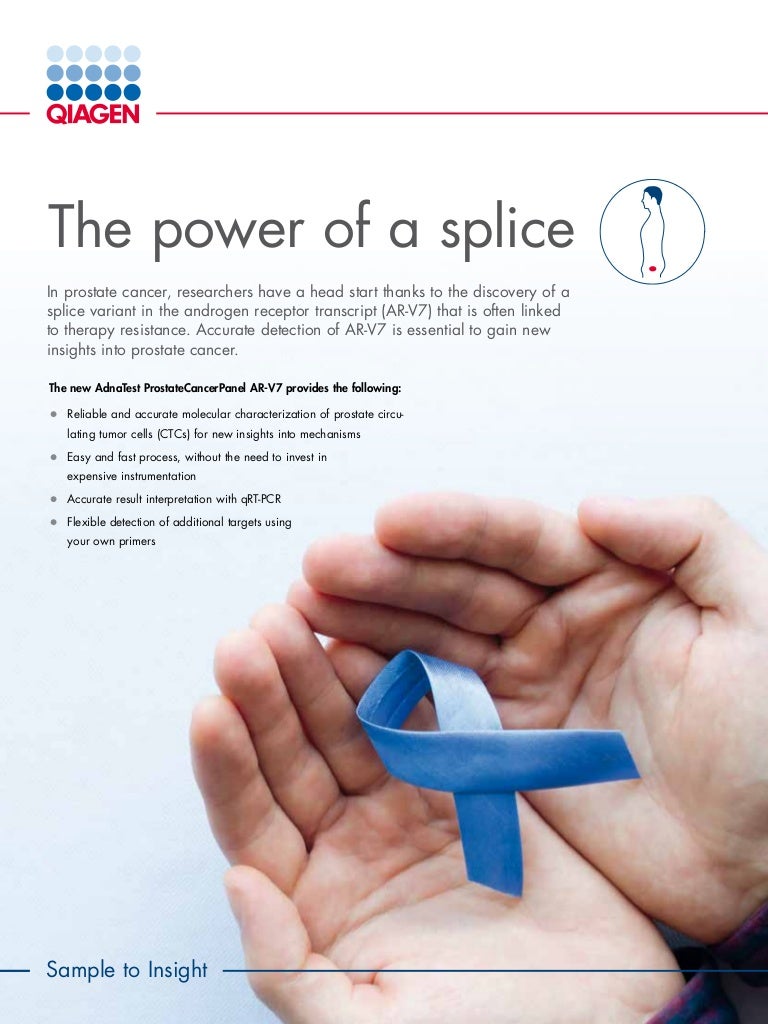 splice mdn