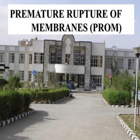 Pre-Labor Rupture of Membranes (PROM) | PPTX