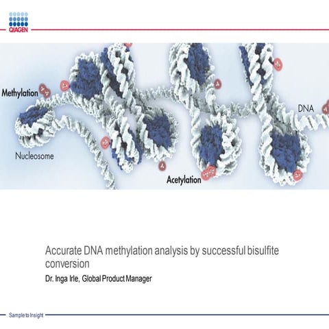 Accurate DNA Methylation Analysis with Successful Bisulfite Conversion Webinar