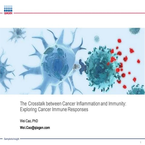 Crosstalk Between Cancer Inflammation and Immunity: Host Defense ...