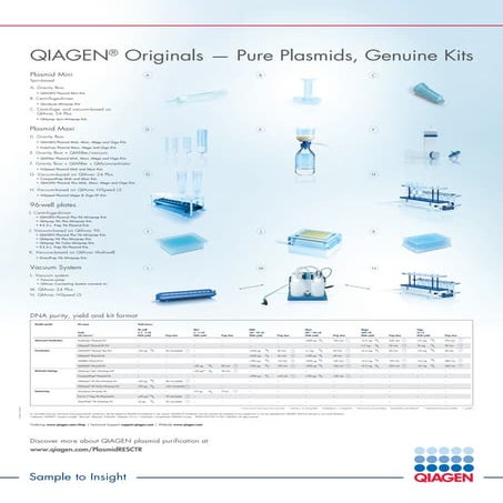 QIAGEN® Originals — Pure Plasmids, Genuine Kits - Learn more
