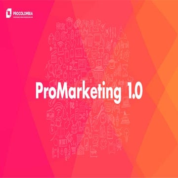 ProMarketing 1.0