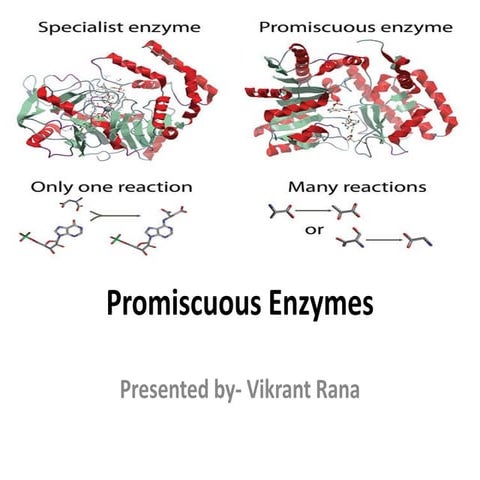 Promiscuous enzyme PPT