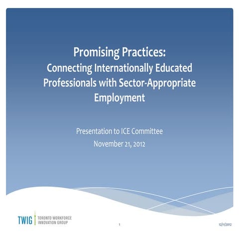 Promising Practices: Connecting Internationally Educated Professionals with S...