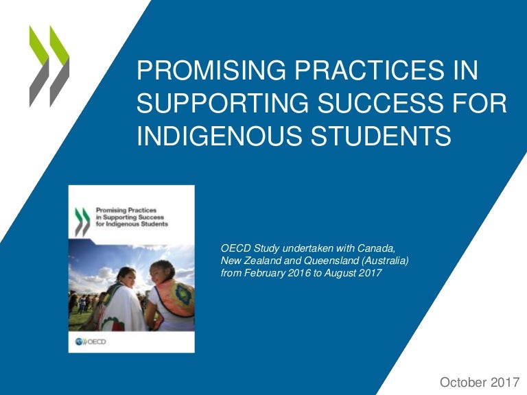 Promising Practices in Supporting Success for Indigenous Students