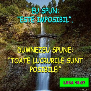 Promisiuni Pentru Anul Nou673