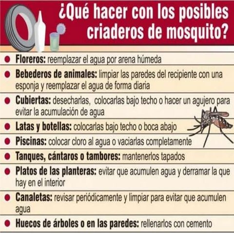 Promoción y prevención del dengue.