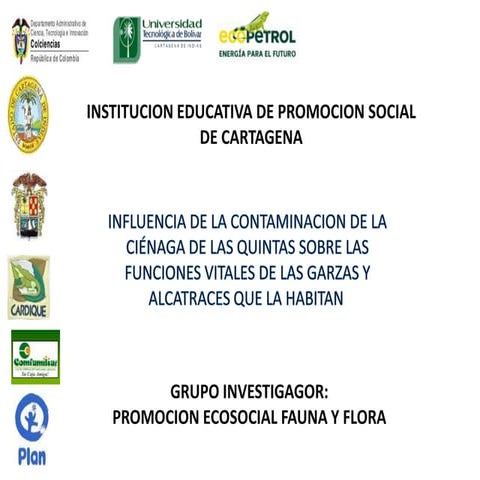 Contaminacion de la Cienaga de las Quintas.  Cartagena-Colombia