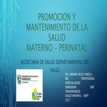 Promocion y mantenimiento de la salud rias mias