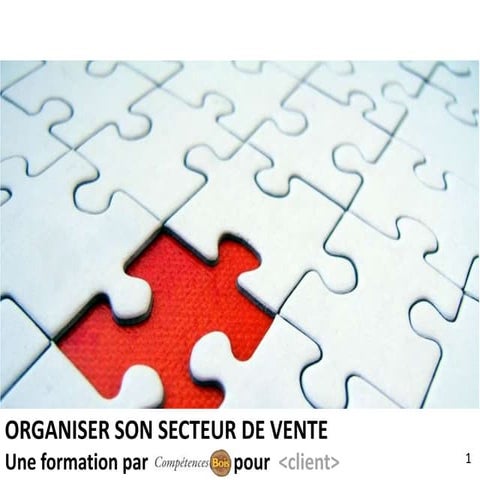 Promo organisation commerciale vs002