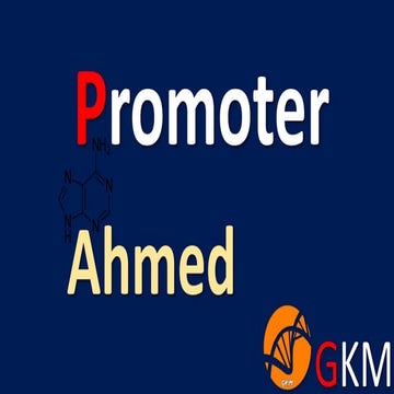 Promoter