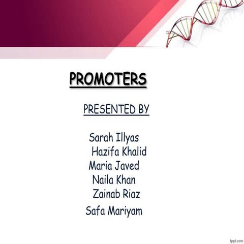 DNA Promoters presentation 