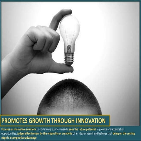 Promotes growth through innovation