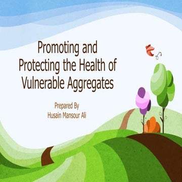 Promoting and protecting the health of vulnerable aggregates