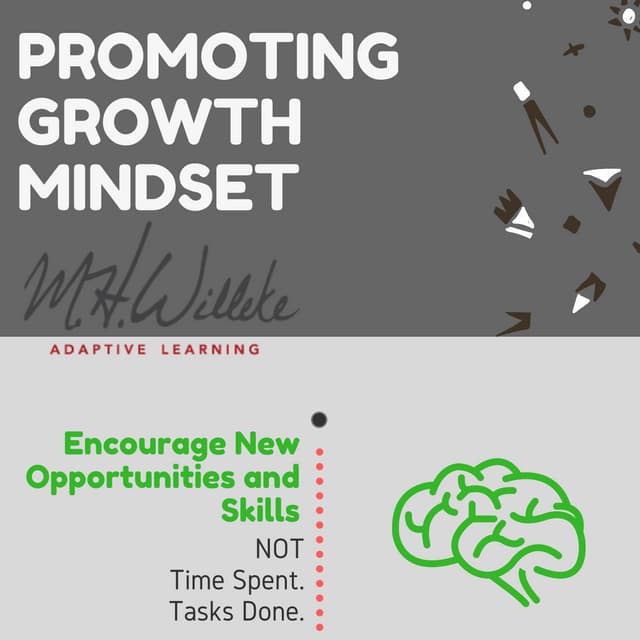 Promoting Growth Mindset | PDF