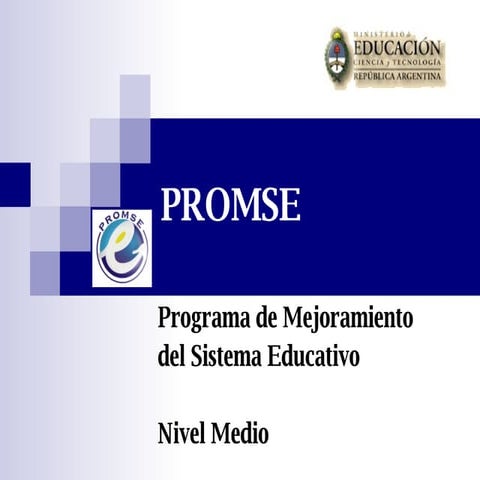 Presentación Programa PROMSE 2008 | PPS