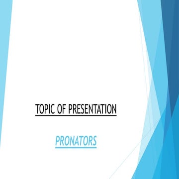 Pronator muscles anatomy and strengthening