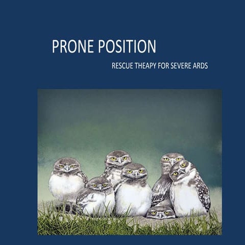 Prone Position