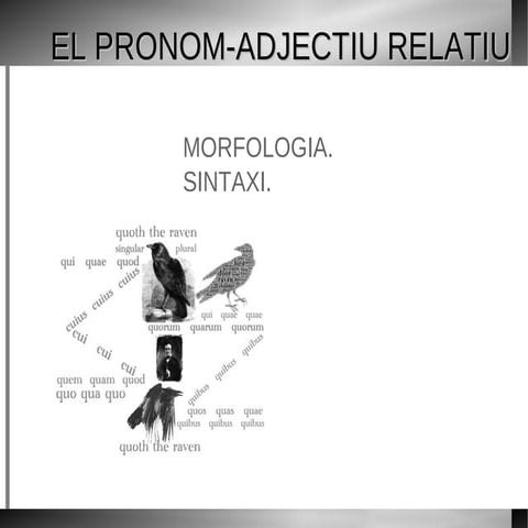 El pronom-adjectiu relatiu llatí