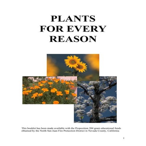 Plants for Every Reason - Nevada County, California