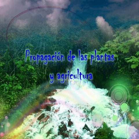 PropagacióN De Las Plantas | PPT